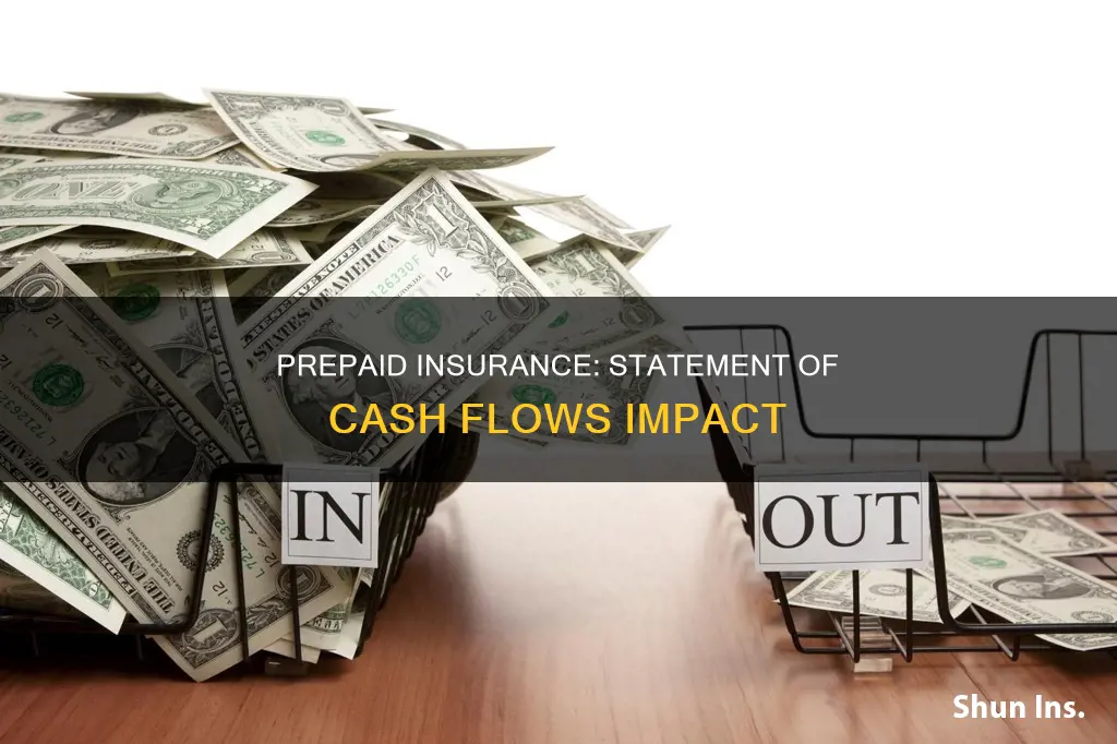 does prepaid insurance go on the statement of cash flows