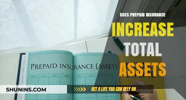 Prepaid Insurance Impact: Does It Boost Your Total Assets?