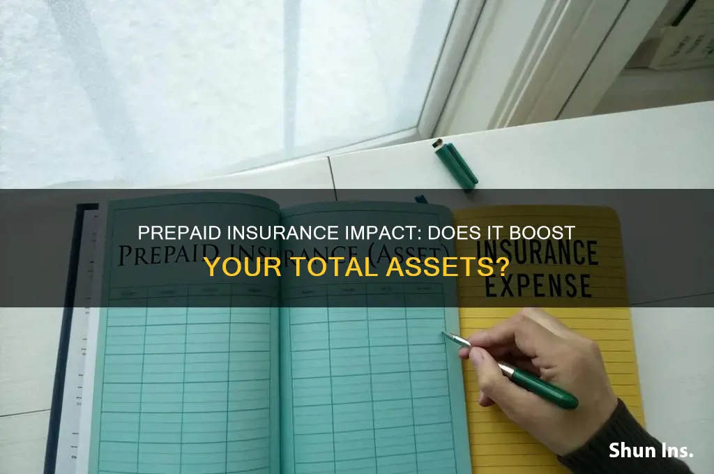 does prepaid insurance increase total assets