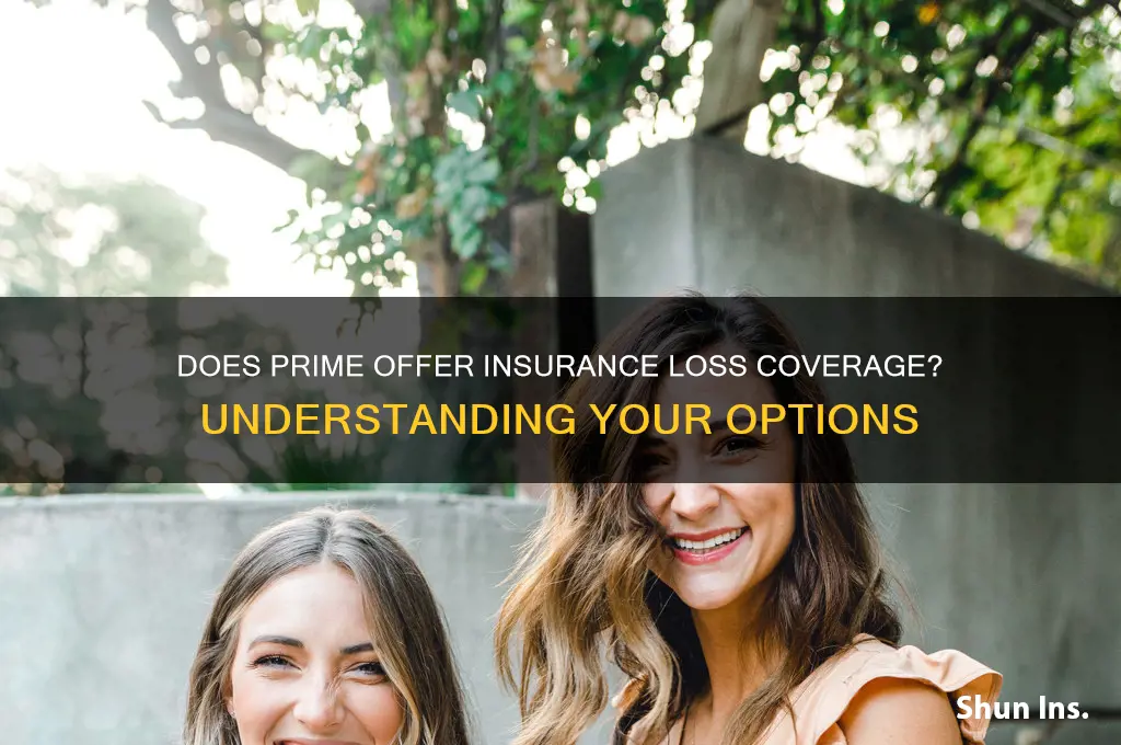 does prime have insurance loss