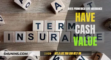 Primerica Life Insurance: Is Cash Value a Feature?