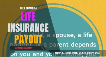 Primerica Life Insurance: Does It Pay Out?