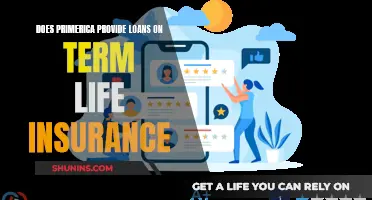 Primerica's Term Life Insurance: Loan Options Explored