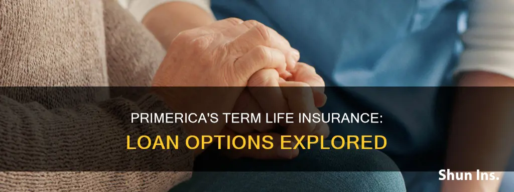 does primerica provide loans on term life insurance