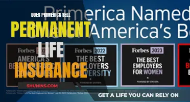 Primerica's Permanent Life Insurance: What You Need to Know