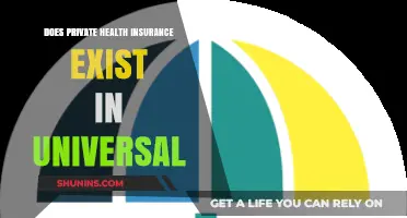 Does Private Health Insurance Complement Universal Healthcare Systems?