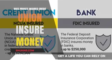 Insured Credit Unions: Is Your Money Safe?