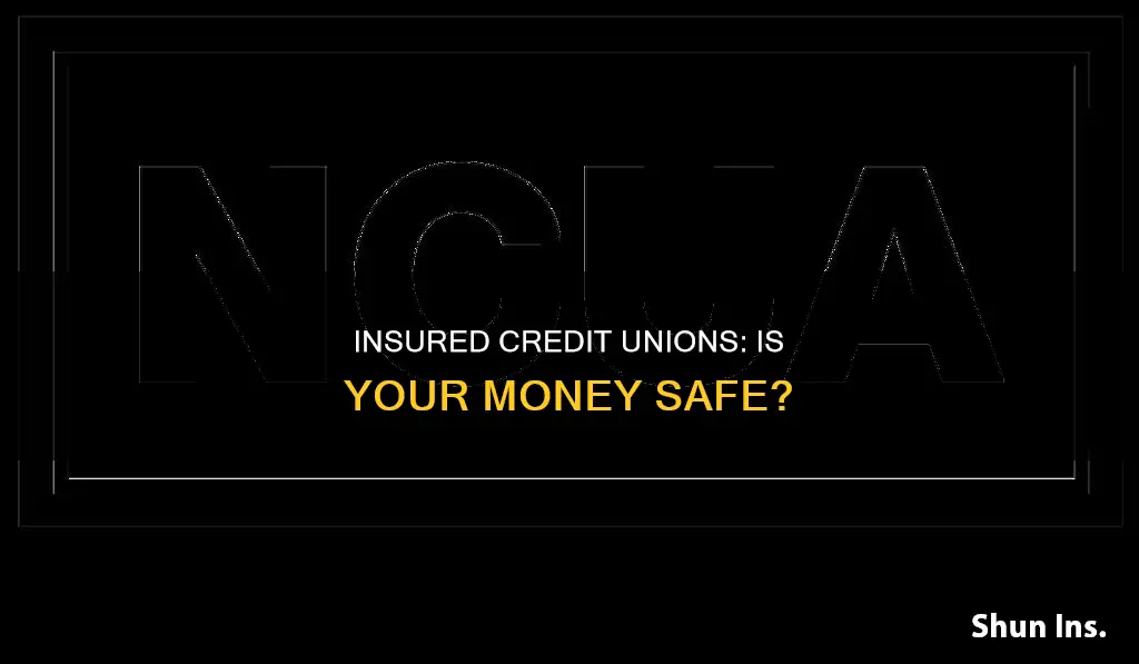 does private insured credit union insure money