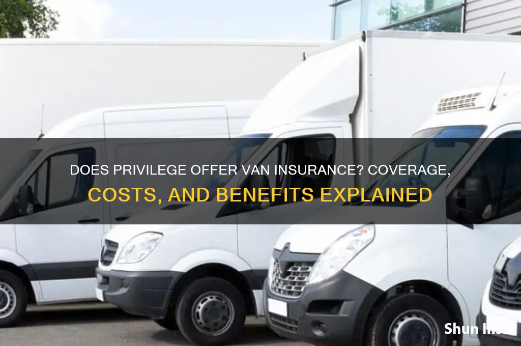 does privilege do van insurance