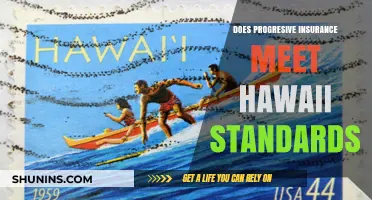 Progressive Insurance in Hawaii: Does It Meet Local Standards?