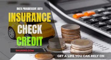 Progressive Auto Insurance: Understanding the Credit Check Factor