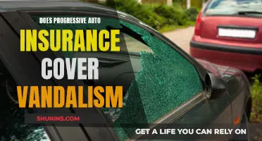 Progressive Auto Insurance: Understanding Vandalism Coverage