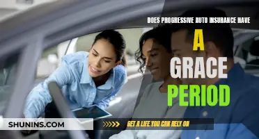 Progressive Auto Insurance: Understanding Grace Periods