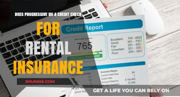 Credit Checks: Progressive's Rental Insurance Requirements