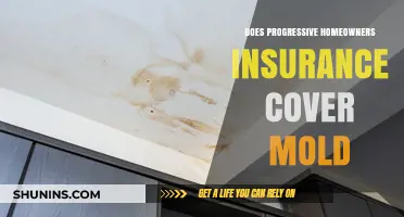 Progressive Home Insurance: Does It Cover Mold?