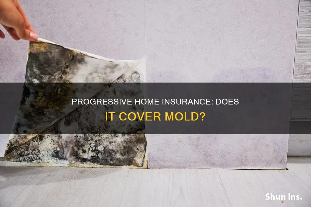 does progressive homeowners insurance cover mold