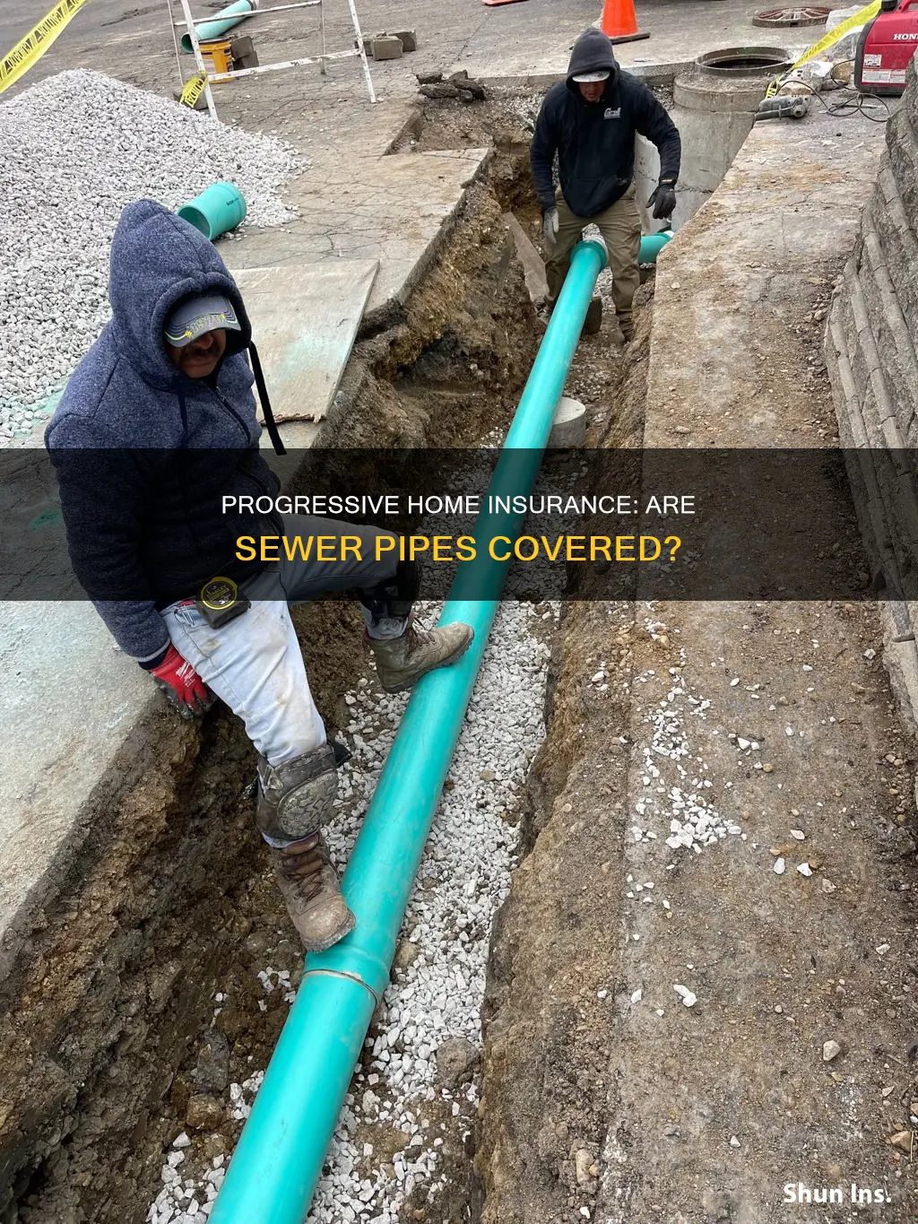does progressive homeowners insurance cover underground sewer pipes