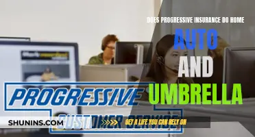 Progressive Insurance: Unfurling the Umbrella of Comprehensive Coverage