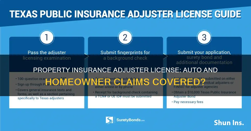 does property insurance adjuster license cover auto and homeowners