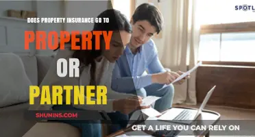 Property Insurance: Who Benefits, Owner or Partner?