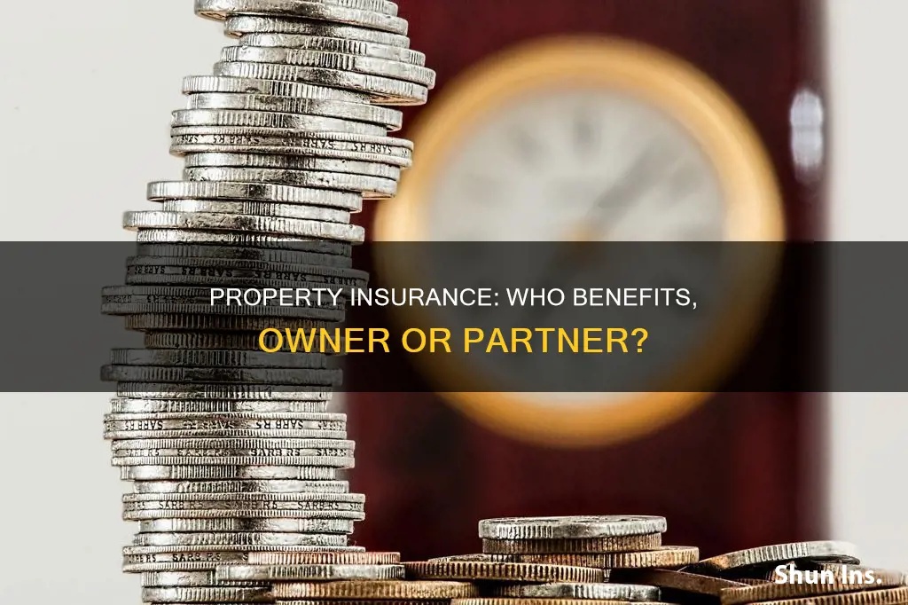 does property insurance go to property or partner