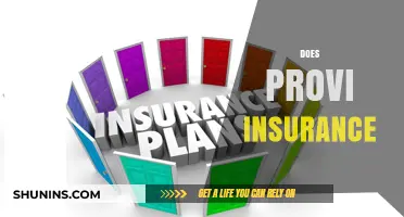 Does Provi Insurance Meet Your Coverage Needs? A Comprehensive Review