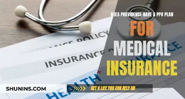 Providence's PPO Plan: Medical Insurance Options Explored
