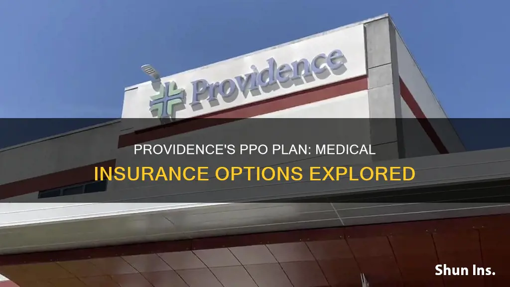 does providence have a ppo plan for medical insurance