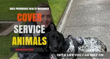Does Providence Health Insurance Cover Service Animals? What You Need to Know
