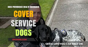 Does Providence Health Insurance Cover Service Dogs? What You Need to Know