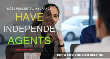 Prudential Insurance: Independent Agents or Direct Sales?