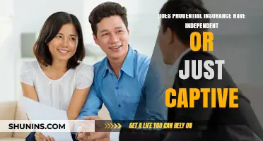 Prudential Insurance: Independent Agents or Captive Representatives?