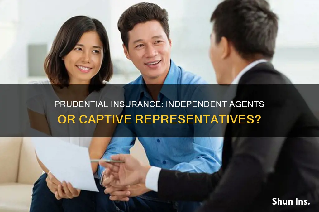 does prudential insurance have independent or just captive