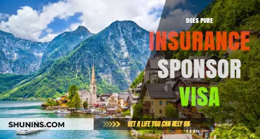 Does Pure Insurance Sponsor Visas? A Comprehensive Guide for Applicants