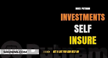 Does Putnam Investments Self-Insure? Exploring Their Risk Management Strategy