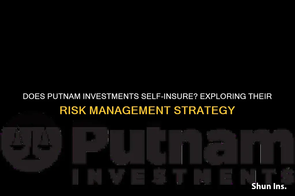 does putnam investments self insure
