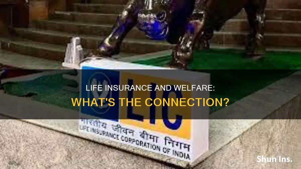 does receiving a life insurance affact welfare