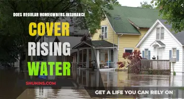 Homeowners Insurance: Does It Cover Flood Damage?