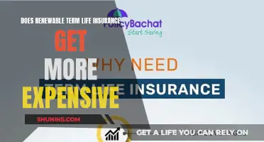 Term Life Insurance: Expensive as Time Goes On?