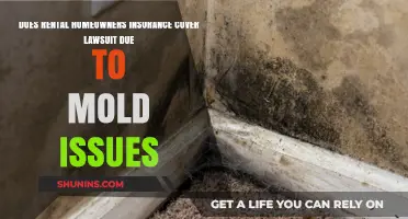 Rental Homeowners Insurance: Mold Lawsuits Covered?