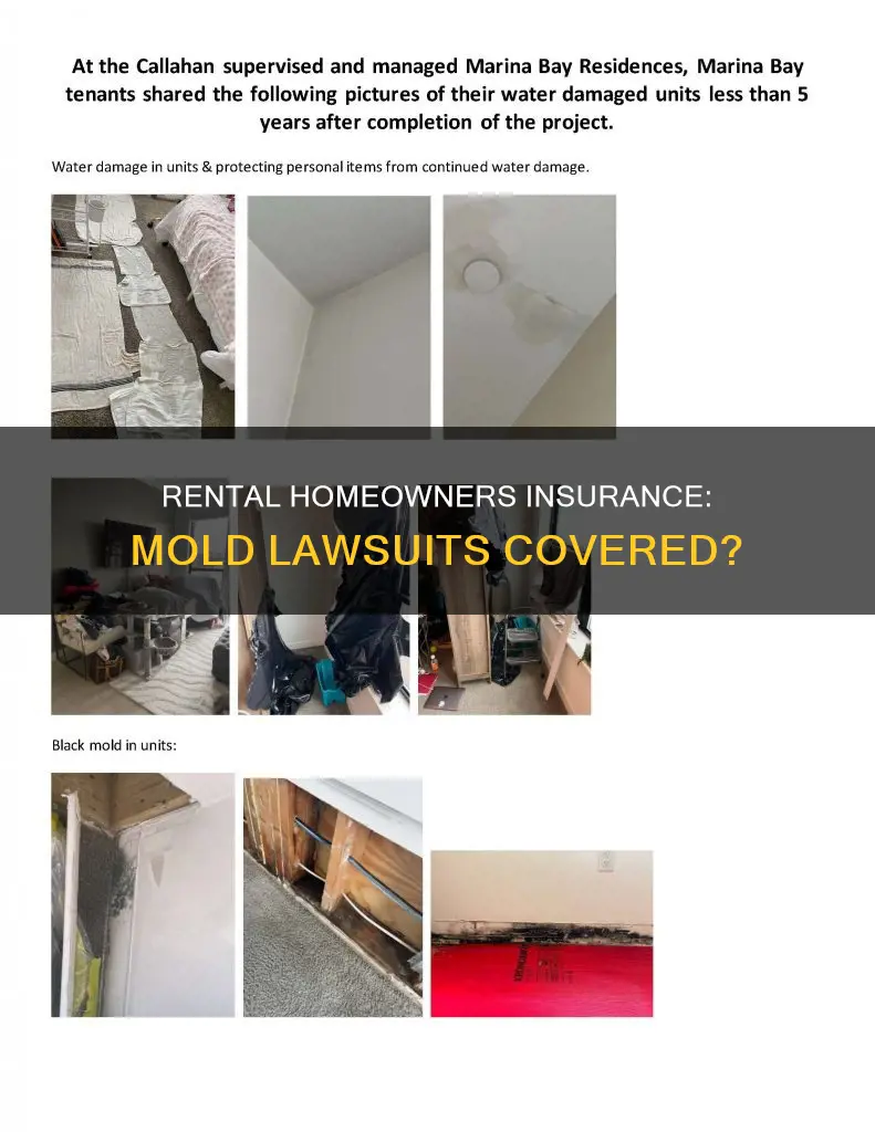 does rental homeowners insurance cover lawsuit due to mold issues