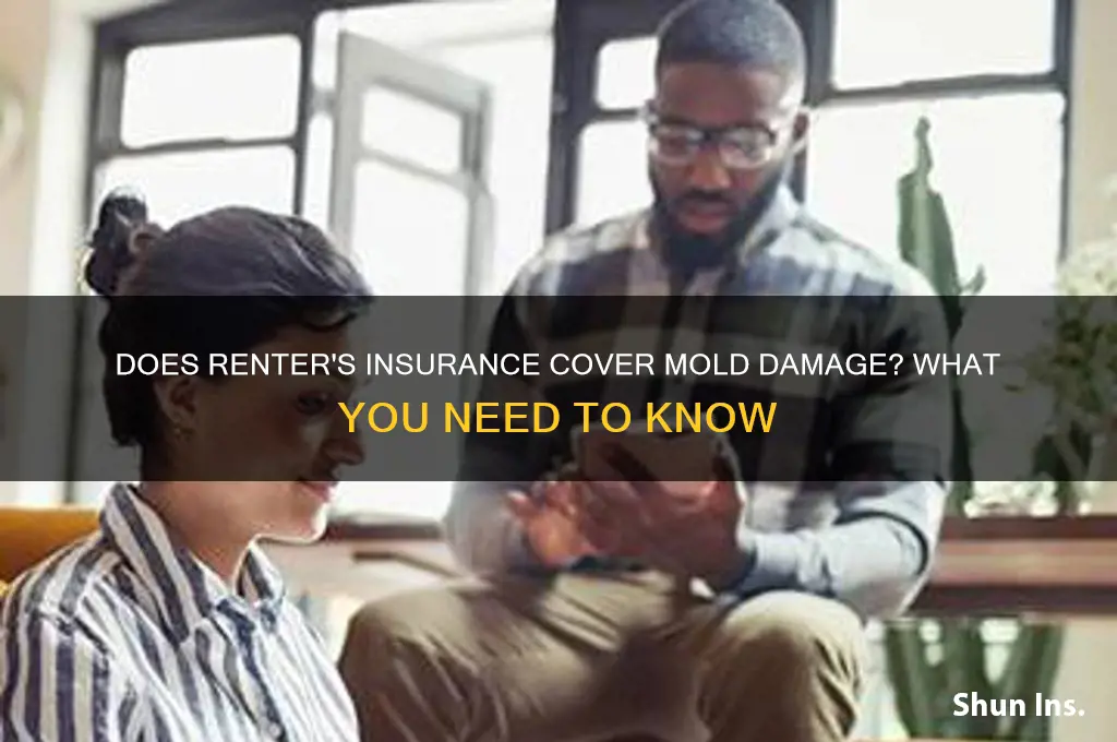 does renter insurance mold