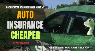 Geico Renters and Auto Insurance: Bundling Benefits