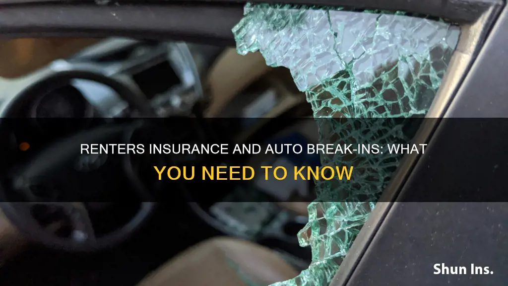 does renters insurance cover auto break ins