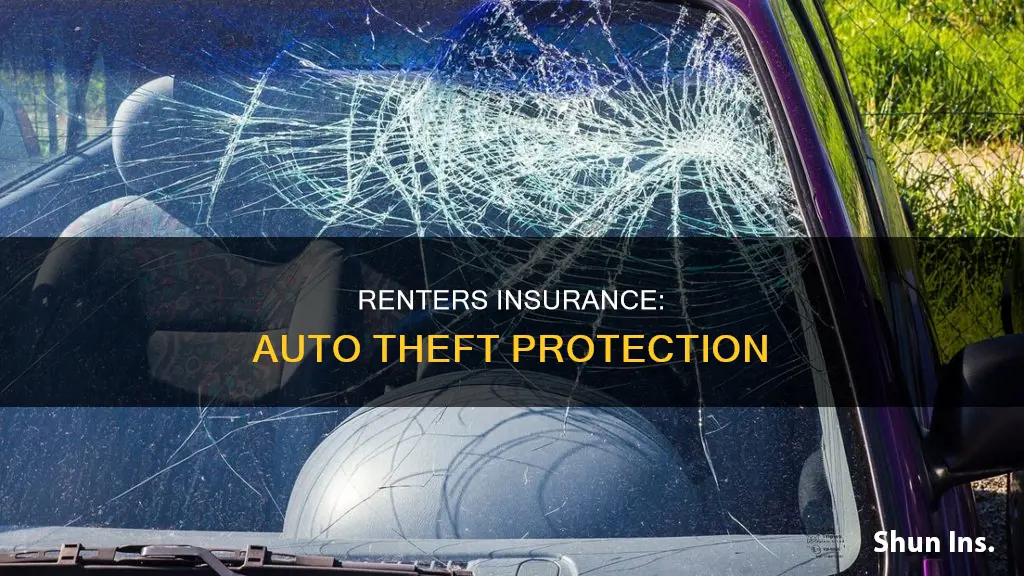 does renters insurance cover auto theft