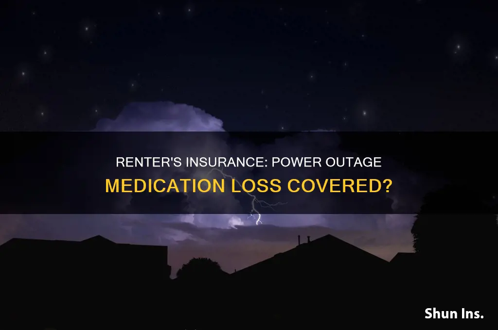 does renter