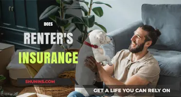 Does Renter's Insurance Cover Personal Belongings and Liability Risks?