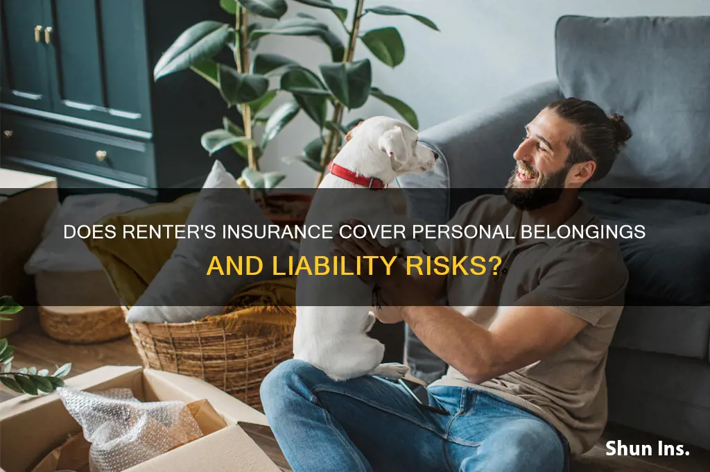 does renter