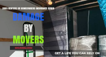 Movers Damage Your Stuff? Insurance Coverage Options