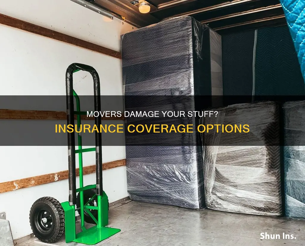 does renters or homeowners insurance cover damage by movers